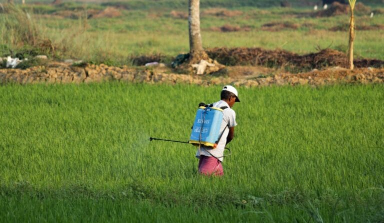 man in white t-shirt and blue denim shorts with blue , backpack walking on green grass by pexel