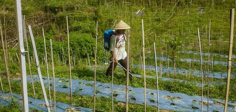 Farmer in a Traditional Asian Hat Walking on an Agricultural Field with Foil and Sticks