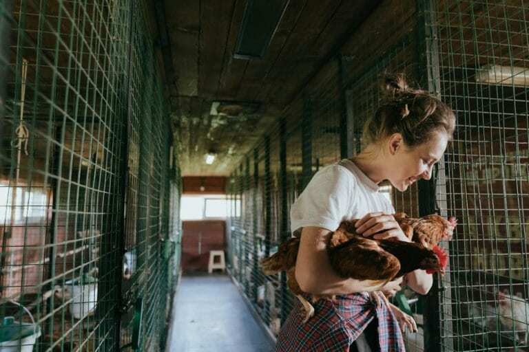 A young woman enjoys holding chickens in a rural farming setting inside a chicken coop. y pexel