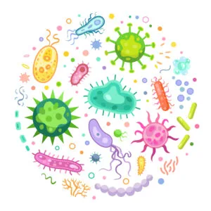 mikrobiota, mikrobiom.