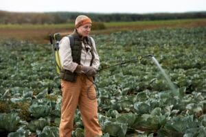 uji pestisida, pesticide