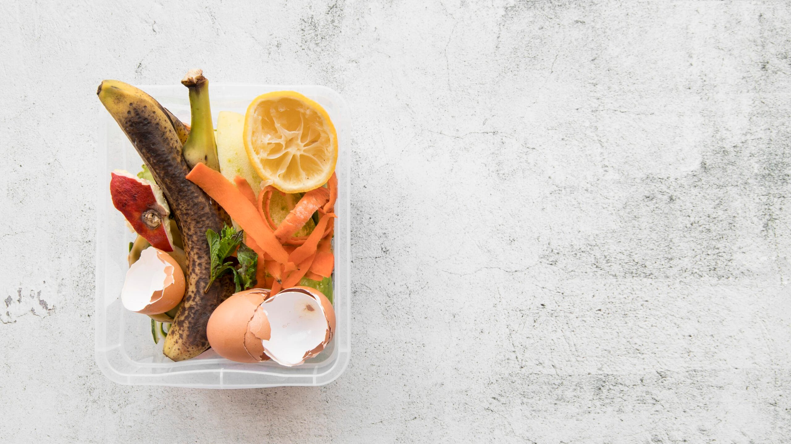 kontaminasi makanan. food.