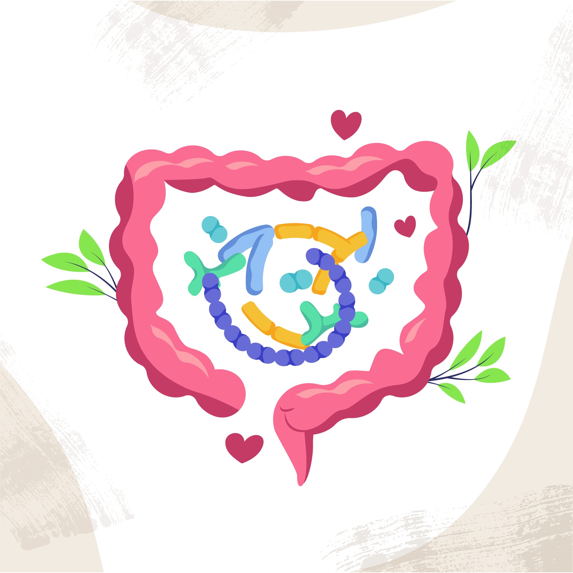 mikroba usus. gut microbes