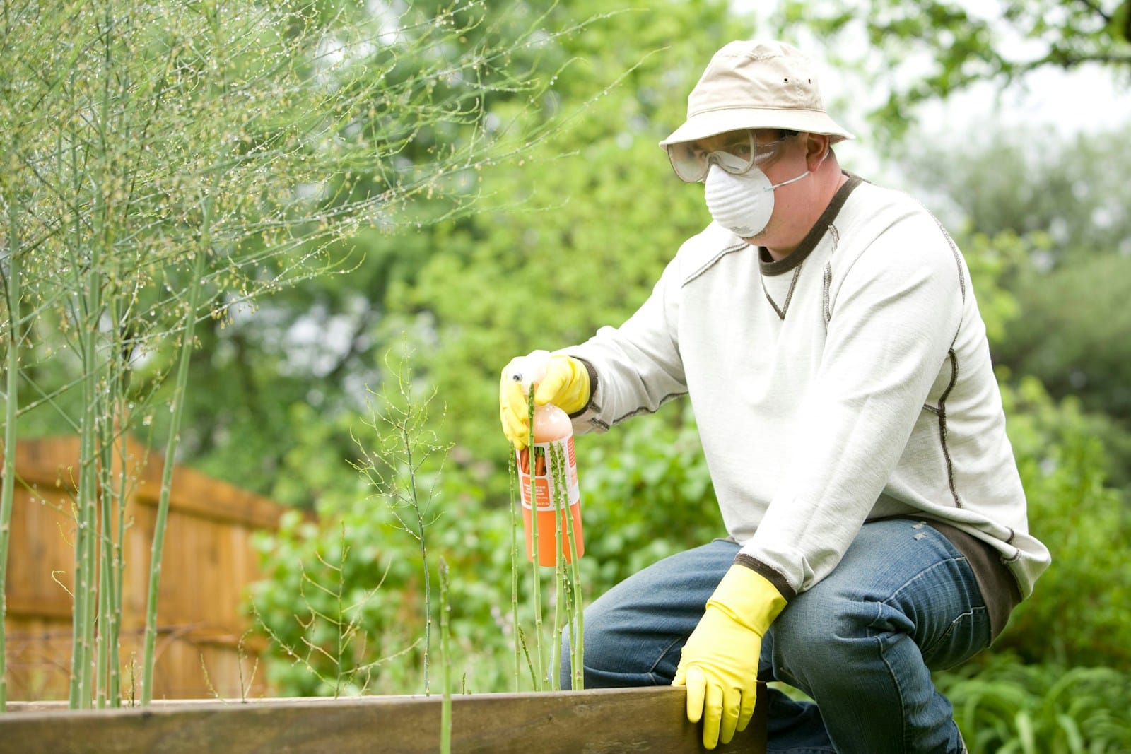 man in white long sleeve shirt and blue denim jeans sitting on brown wooden fence during. pupuk. fertilizer