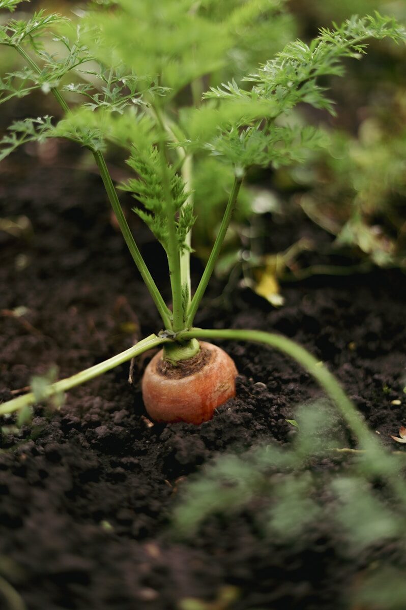 Fertilizer residues can impact water resources and surrounding ecosystems.