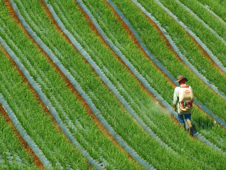 Skin Irritation Testing of Botanical Pesticides: Ensuring the Safety of Eco Friendly Agricultural Products