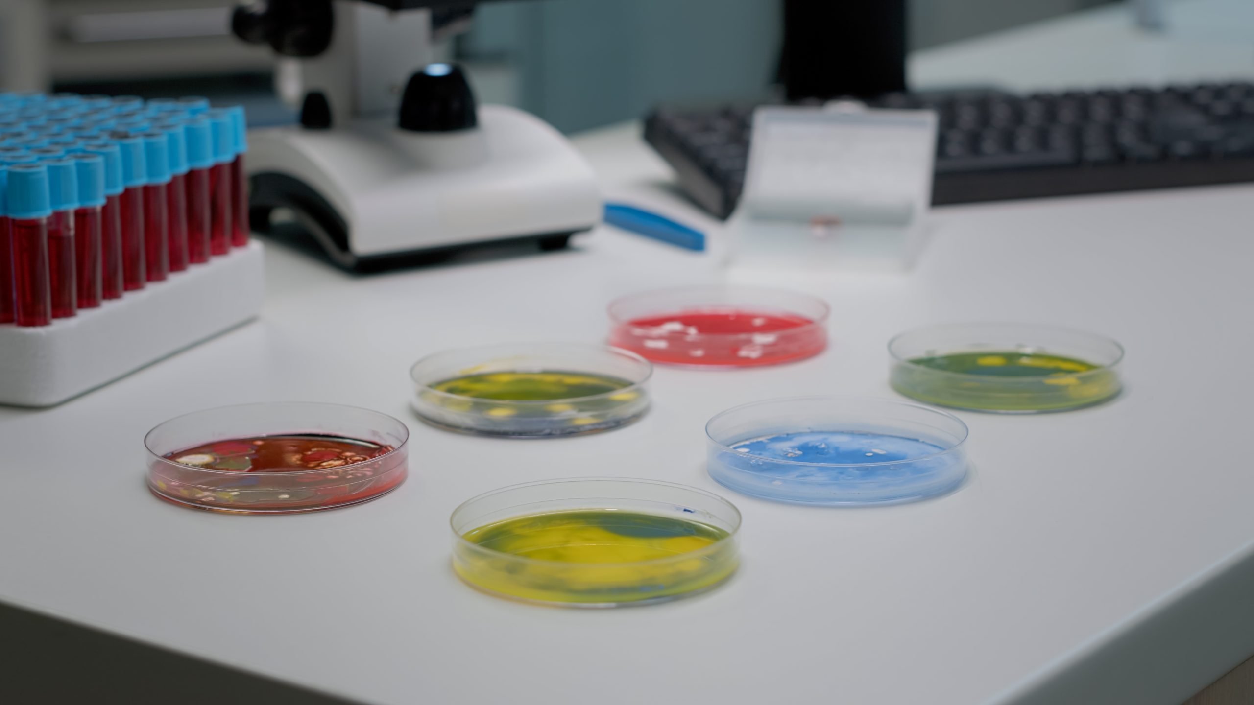 Time-Kill Assay: A Method to Evaluate How Quickly Microorganisms Are Killed