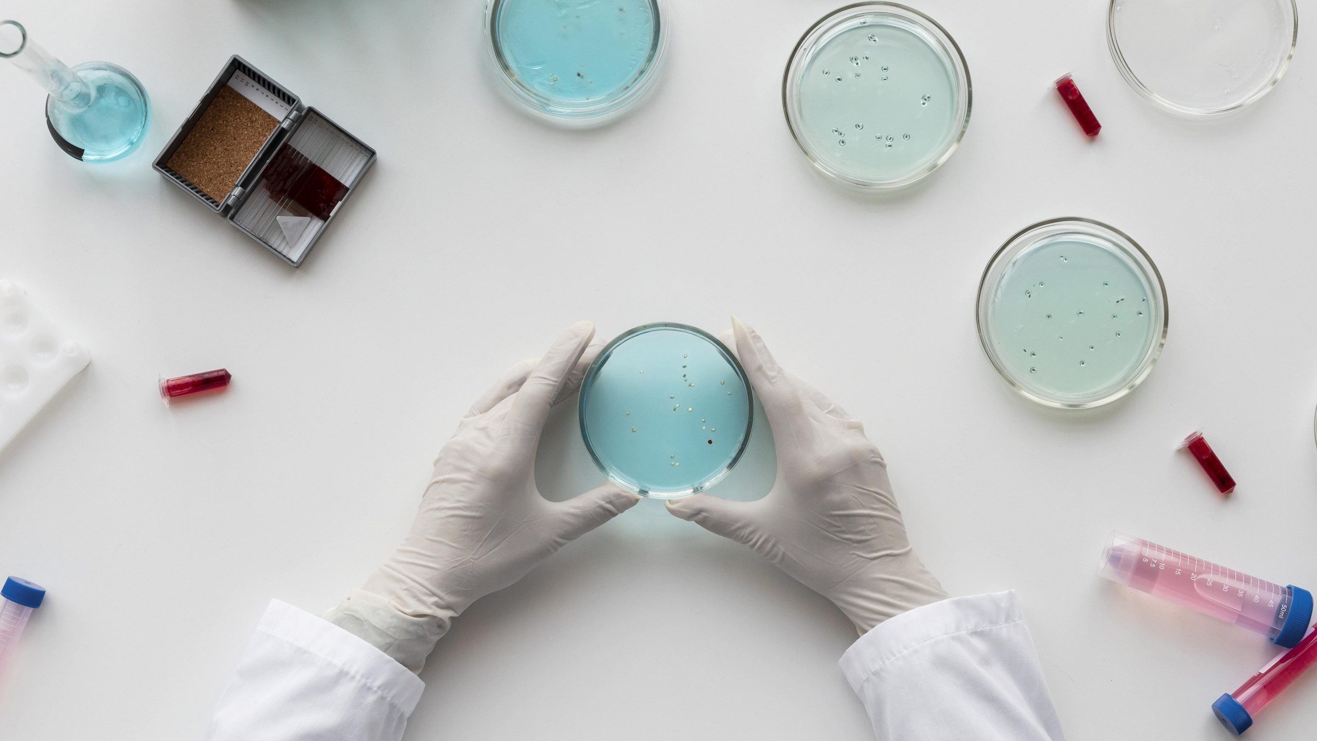 Pathogenic Bacterial Identification: 3 Methods to Use in the Laboratory