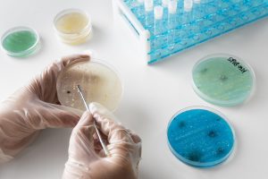 Microbiological Testing of Cough Syrup: A Critical Step in Ensuring Product Safety