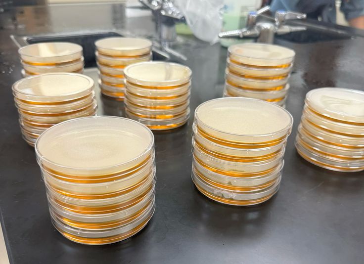 3 Rapid Methods in Challenge Testing: Can They Replace Plate Count?