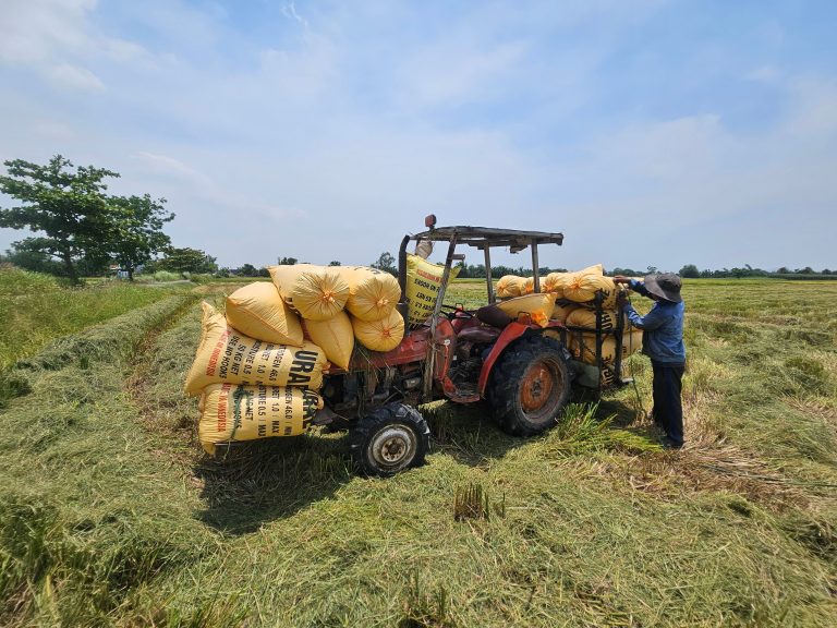 5 Benefits of Laboratory Testing for Urea Fertilizer to Maintain Product Quality and Consistency