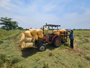 5 Manfaat Uji Laboratorium Pupuk Urea untuk Menjaga Kualitas dan Konsistensi Produk