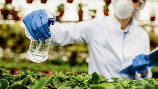 Ethanol Concentration in Products: Why Do They Need to Be Tested and What Are the Risks of Excessive?
