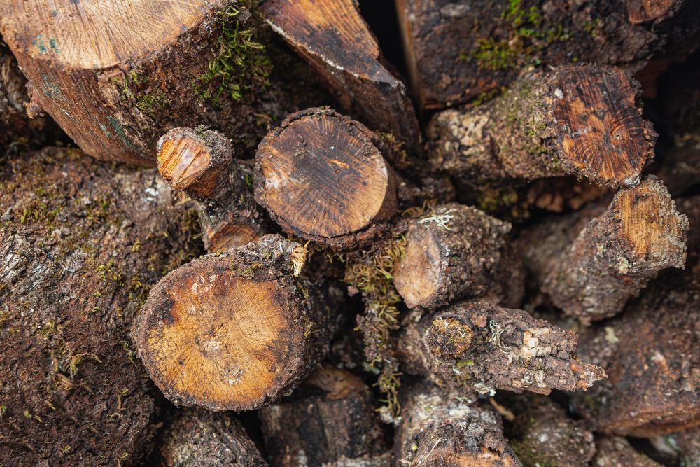 Hexaflumuron as a Termiticide: Effectiveness in Termite Control
